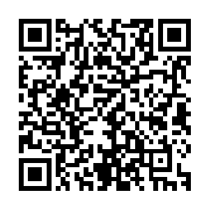 的招牌和领军人物就成了当初为了钱世豪一口气签下多部书约的二维码生成