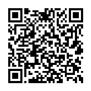 的放映规模缩减到放映协议允许的最小程度之后二维码生成