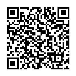 的无上巨擘欧阳台书仗着金台书的力量都被沈凡斩杀二维码生成