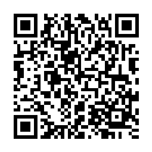 的普适性使其成为今后核物理分支用来获得新知识的有力工具二维码生成
