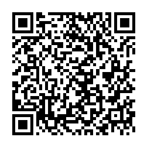 的核心精髓……他竟然能一眼勘透……青袍儒生忽有心灰意冷的感觉二维码生成