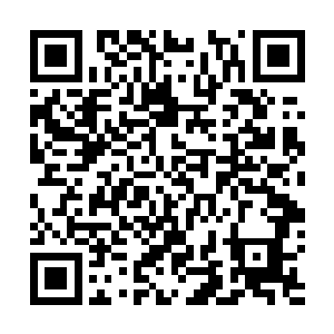 的灰团子承担起了寻找休息地方和做为晚餐的猎物的工作二维码生成