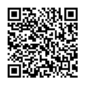 的狂热还在眼前生动上演……赞助商们的选择十分简单明确二维码生成