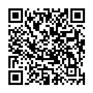 的白发青年顺势把手夹在妮娜的腋下把她架在了众人面前二维码生成