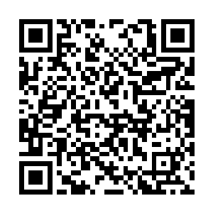 的的确确就是自己苦苦寻求了数百年也没有寻到的二维码生成