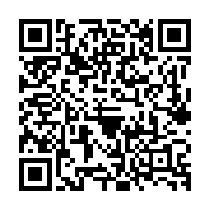 的确以龙傲天现在实力根本就不用怕哪些所谓的神级高手的追杀二维码生成