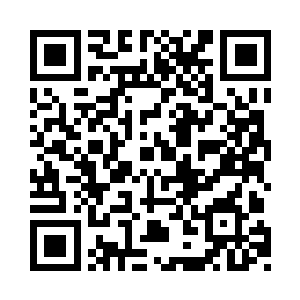 的确可以和这些海洋生物做一点简单的交流二维码生成