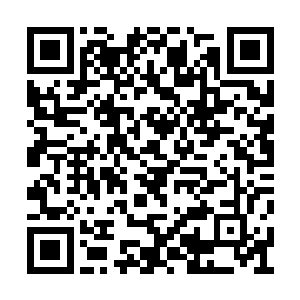 的确将九阳草和九阳晶石的药性完美发挥出来了二维码生成