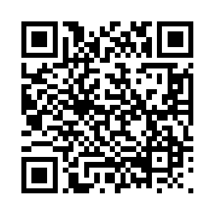 的确将至高丛林改造成了一个避难所二维码生成