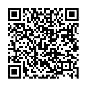 的确很容易引动起人们心底压抑的最原始狂暴的情绪来二维码生成