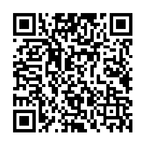 的确改变不了现在的局面……不过……我不是人……二维码生成