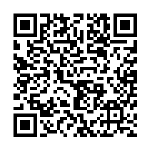 的确是他在这个困境中找到的唯一一条可能存在的生路……二维码生成
