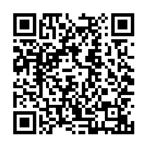 的确是因为他们两人真要和穆建林离天两人都下去二维码生成