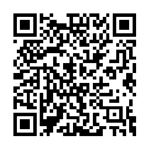 的确是如何将所有人的思维和情感都连接到一起二维码生成