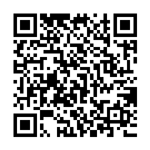 的科研小队已经带着杰森的尸体离开了吗……难道……除了他们二维码生成