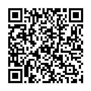 的节奏是近些日子才在连排作战里酝酿出来的反制方法二维码生成