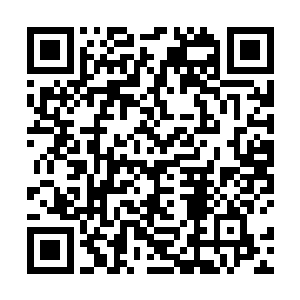 的蓝本城堡雪瓦尼城堡……如今终于来到了舍农索城堡二维码生成