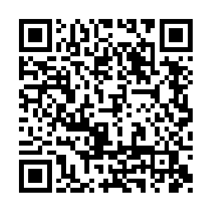 的覆灭与追魂灵蝶的关联可能有两个方面的原因二维码生成