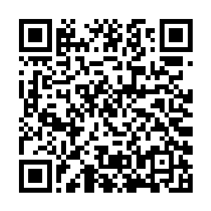 的这条从未见过的老蛇有着一种天生的畏惧以及恐惧二维码生成