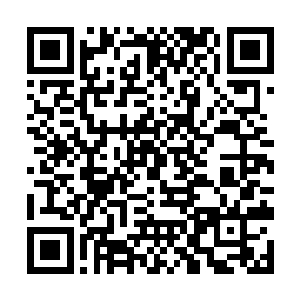 的酒楼需要的鸡鸭都从他手里面拿屠宰好了的现成货二维码生成