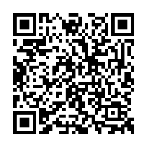 皆是没看懂这柳梦露的父亲葫芦里面卖的什么药二维码生成