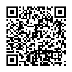 皆是满脸堆笑的从对应自己名牌的座位上站了起来二维码生成