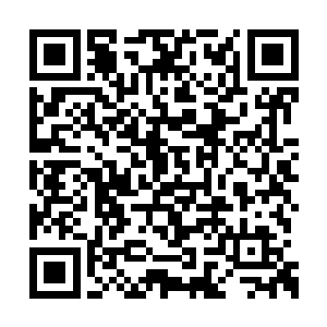 皆是通过各种各样的方式成为了武魂山中的一员二维码生成