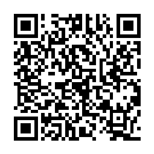 皇上曾是袁将军外的第二个主张收回失土并付诸行动的将领二维码生成