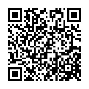 皇上看见他们同时出现自己居然没有一点的意识二维码生成