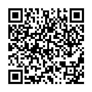 皇上真的只是冲着已经过世的长公主才给那千周人几分薄面二维码生成