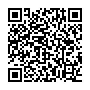 皇上确实提过这些并且暗示他最好能够从定王手里将这些拿回去二维码生成