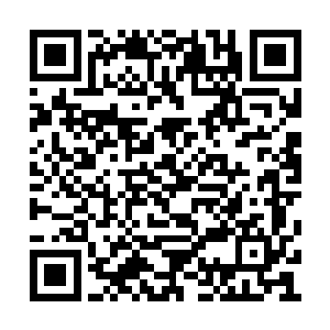 皇上能不能念在今日过节的份上让在下见上一下二维码生成