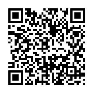 皇上要不明儿小的也到皇宫门口儿去支一桌麻将啊二维码生成