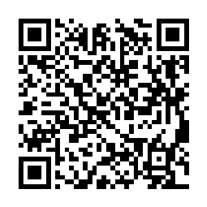 皇伯伯可要记得一会儿包上几只给我和阿珩带回去二维码生成