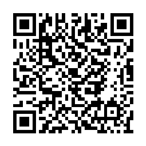 皇兄一定会找到这世上最好的大夫来为你医治的二维码生成