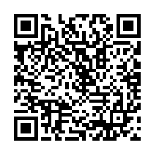 皇后便下令召京城诸王室权贵夫人为定王妃接风也顺便赏花二维码生成