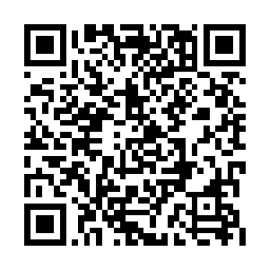 皇后娘娘是生怕君墨皇抢了他儿子的皇储之位吧二维码生成