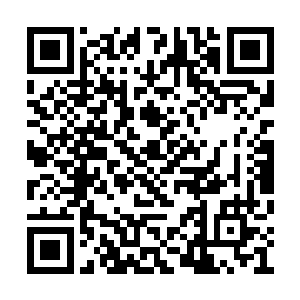 皇后娘娘跟太子他们只会以为你是太紧张的缘故二维码生成