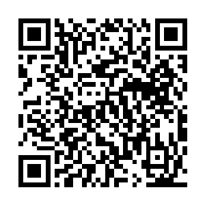 皇后殿下真的已经将一盘散沙的各路反对派都牢牢攥在手中二维码生成