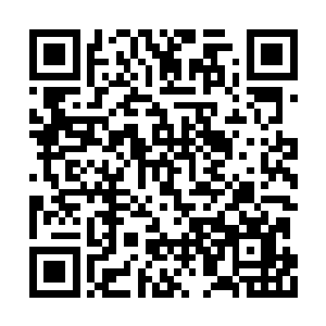 皇后舒蔓瑶领着一众的宫妃火急火燎的走了过来二维码生成