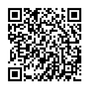 皇姐……我不能放弃它……我想听听第二个办法……二维码生成