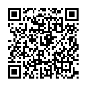 皇姐以为清伊娜姑娘想要对我们不利才刺伤了她二维码生成
