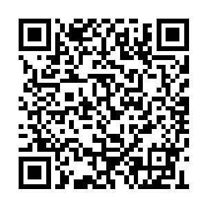 皇子仍然还是没有逃过被推到墙上并晕眩的命运二维码生成