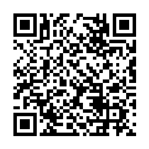 皇宫甚至是定王府的眼线平平安安的活了这么多年二维码生成