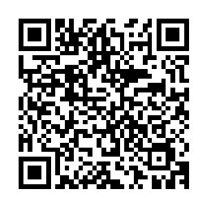 皇家医院的救护车鸣响着警笛迅速的离开了已经成为废墟的王宫二维码生成