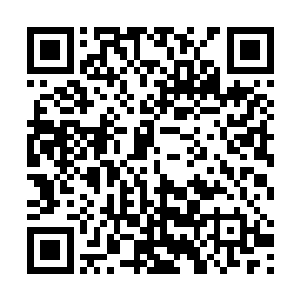 皇帝就会将身体健康的你和身体健康的太子放在一起斗二维码生成