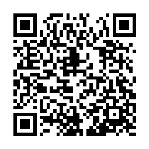 皇帝心里也不是百分之百相信南南是夜修独的儿子二维码生成