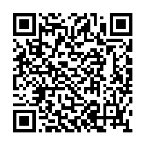 皇帝自然是不能去翻一个死去之人的嫁妆来查实二维码生成