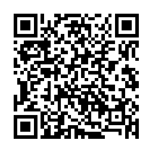 皇帝陛下就恨不得将那几个纨绔的家族统统一网打尽二维码生成