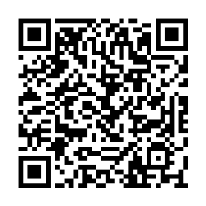 皇族都要被灭了……龙凤族是当之无愧的新皇族二维码生成